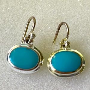 Sterling silver 925 blue oval stone charming earrings